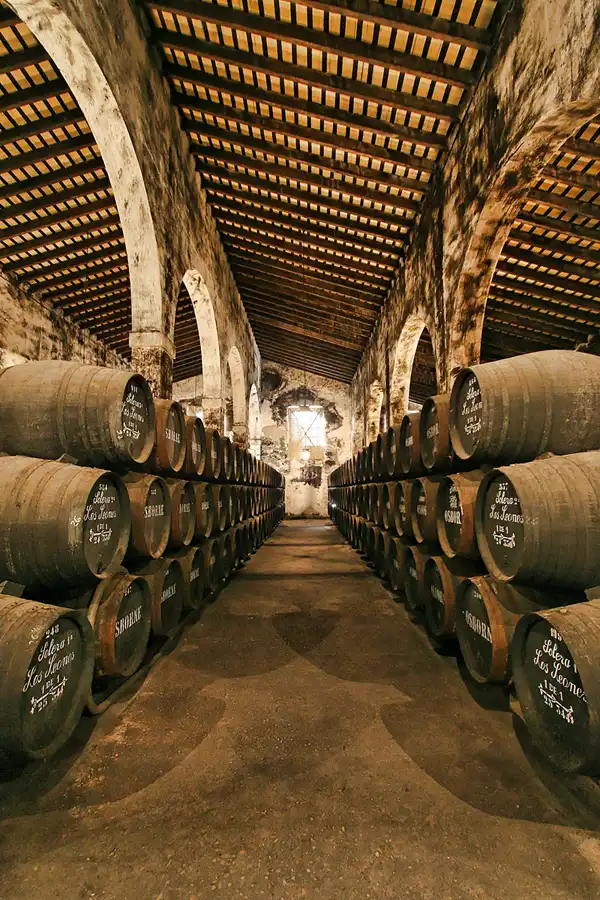 009 | 2009 | El Puerto De Santa Maria | Osborne Bodega De Mora | © carsten riede fotografie