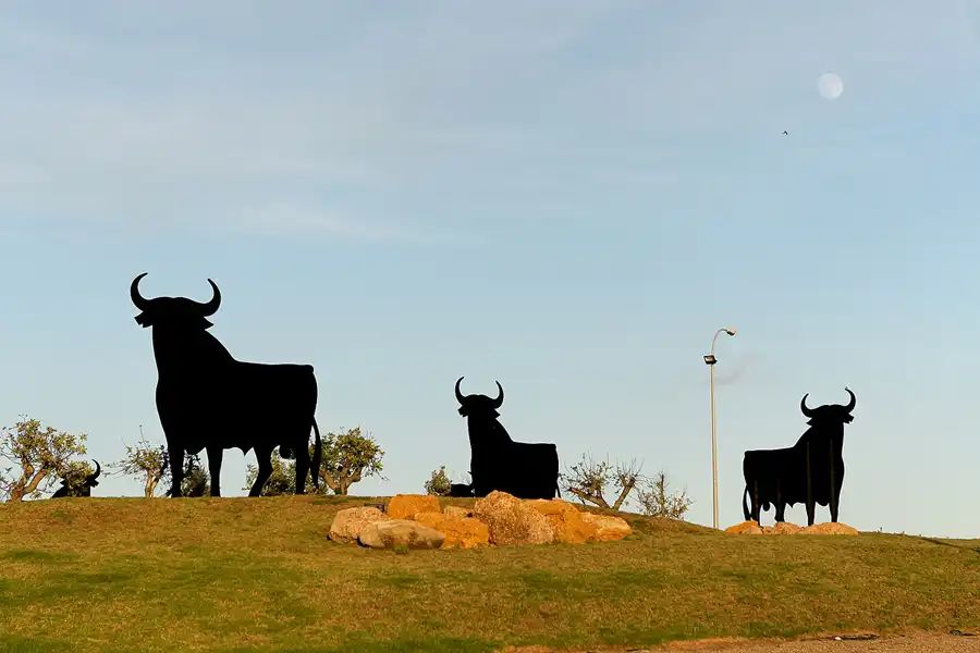 039 | 2009 | El Puerto De Santa Maria | © carsten riede fotografie
