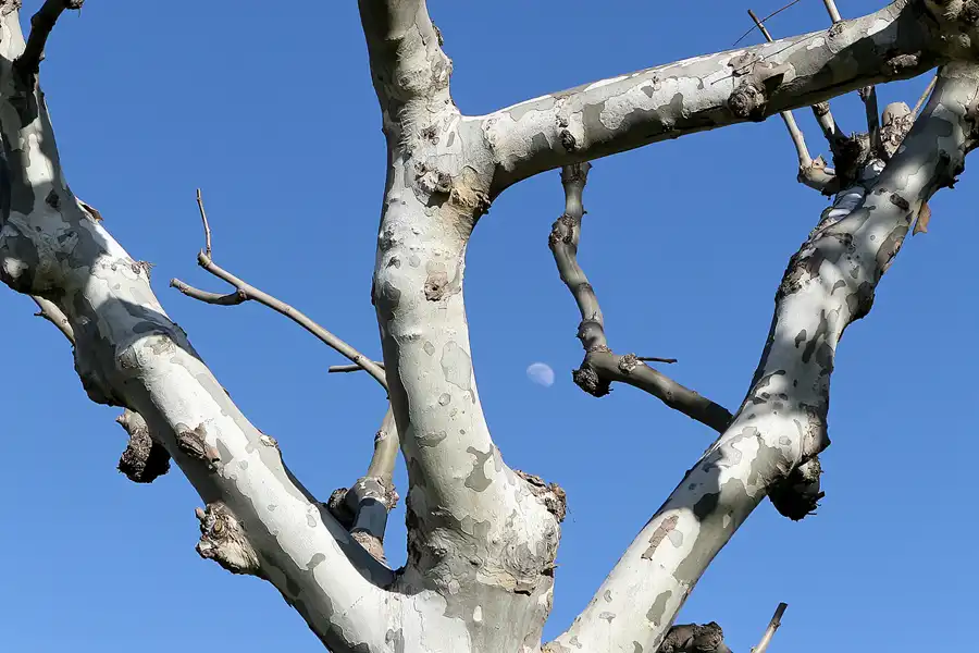 002 | 2010 | Montmelo | © carsten riede fotografie