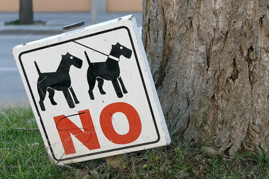 011 | 2010 | Montmelo | © carsten riede fotografie