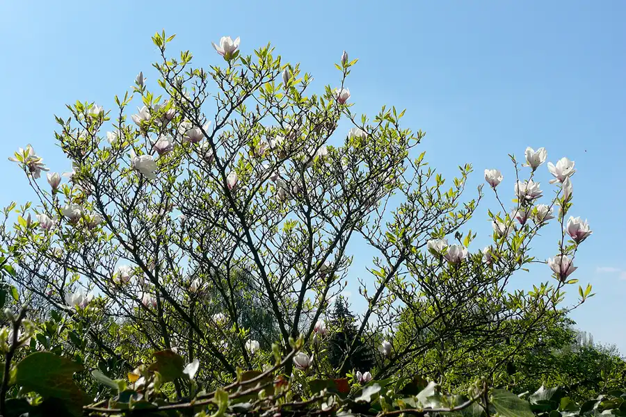 049 | 2010 | Berlin | Roedernstrasse | © carsten riede fotografie