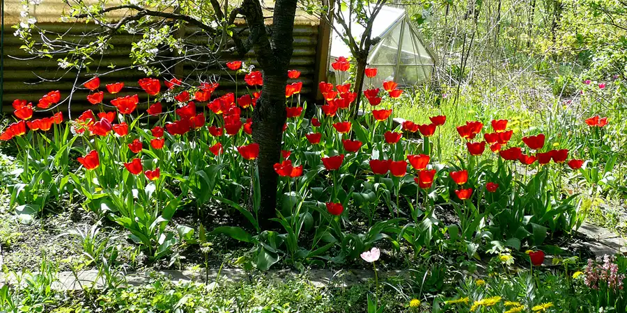 050 | 2010 | Berlin | Roedernstrasse | © carsten riede fotografie