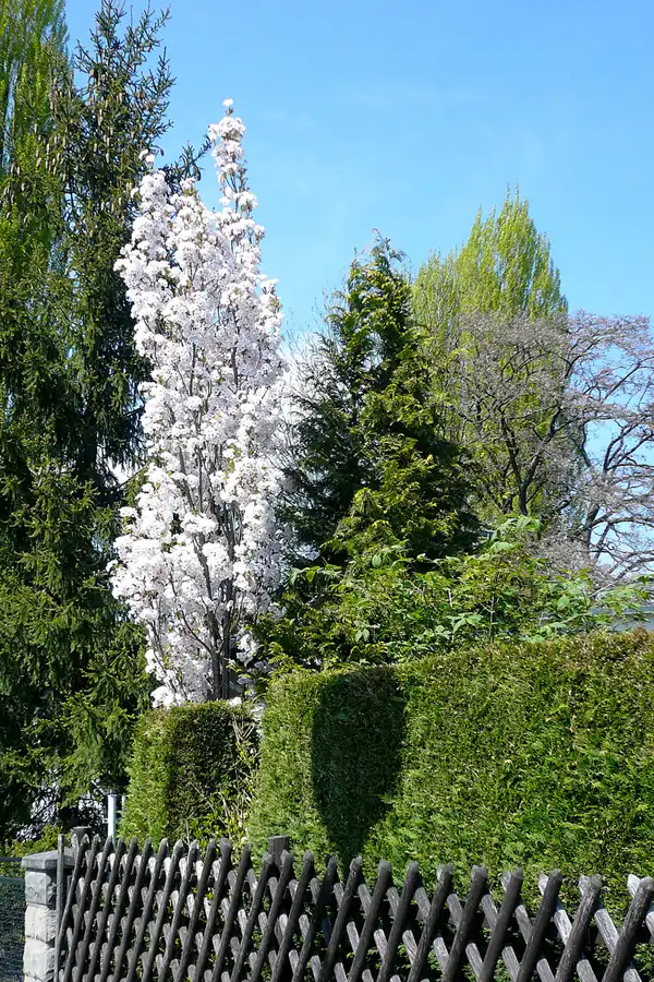 051 | 2010 | Berlin | Roedernstrasse | © carsten riede fotografie