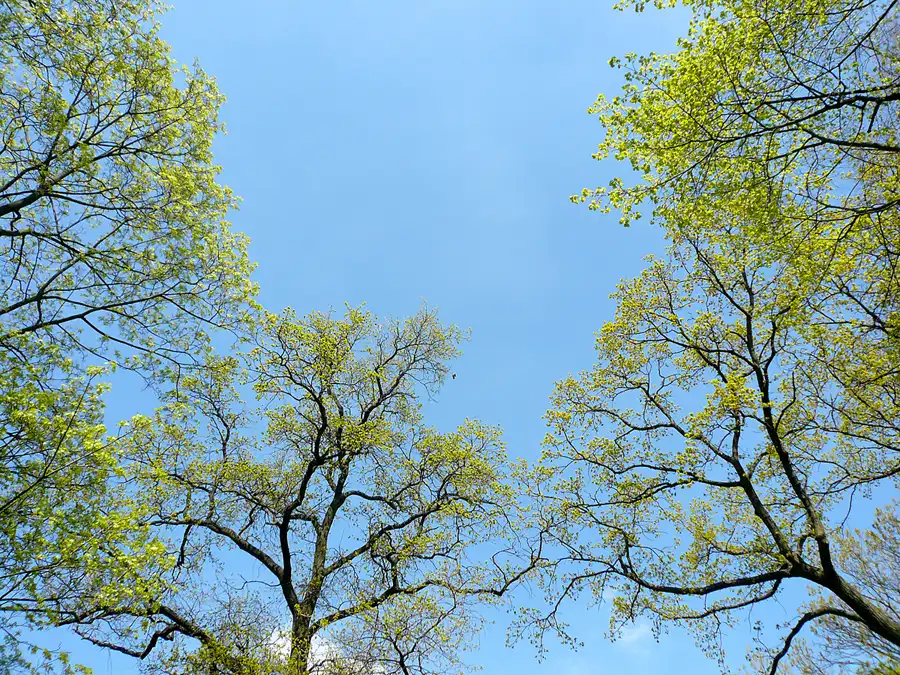 053 | 2010 | Berlin | Obersee-Orankesee-Park | © carsten riede fotografie
