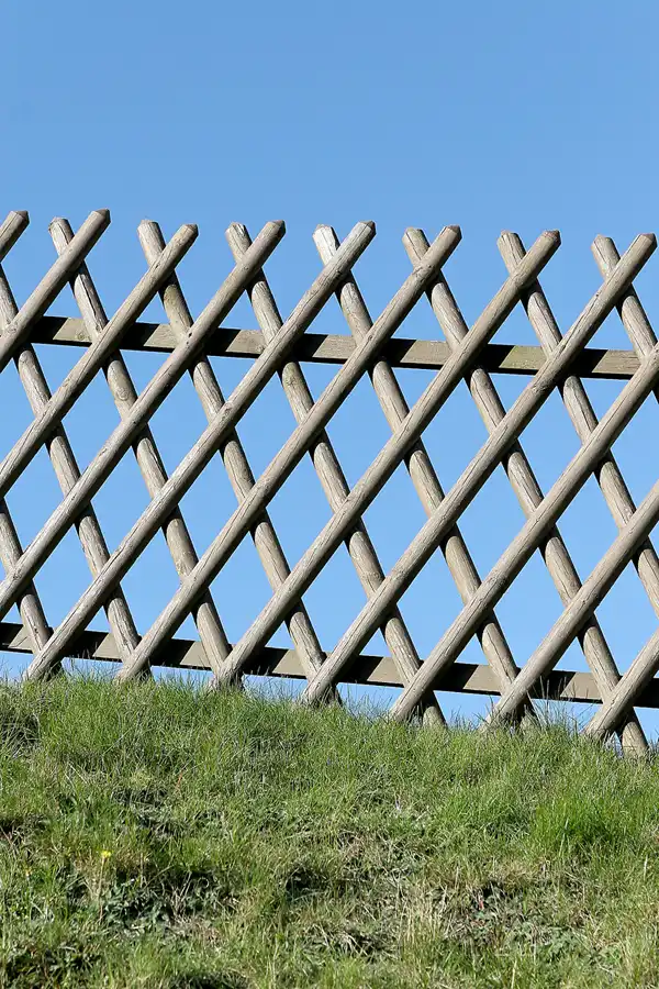 074 | 2010 | Thüringer Wald | Grosser Inselsberg | © carsten riede fotografie