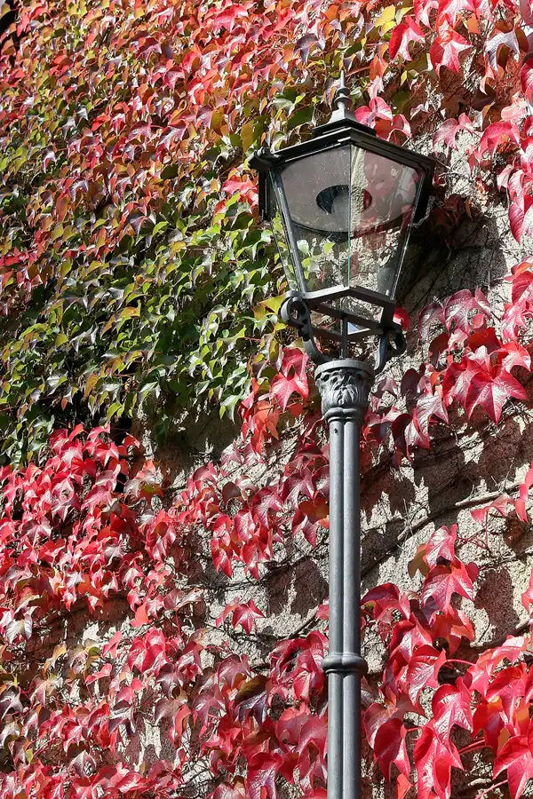 088 | 2010 | Grenzau | © carsten riede fotografie