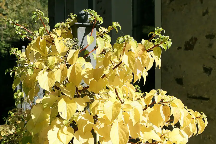 091 | 2010 | Grenzau | © carsten riede fotografie