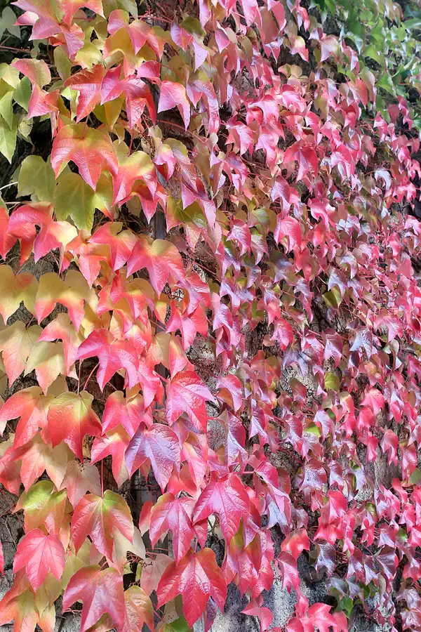 092 | 2010 | Grenzau | © carsten riede fotografie