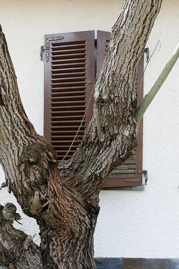 015 | 2010 | Bogensee | Waldhof am Bogensee | © carsten riede fotografie