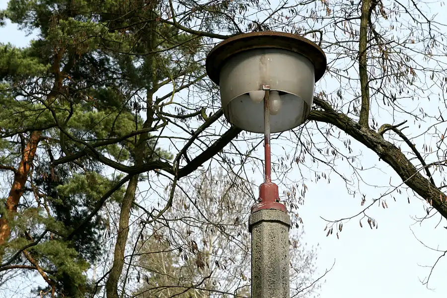 043 | 2010 | Bogensee | © carsten riede fotografie