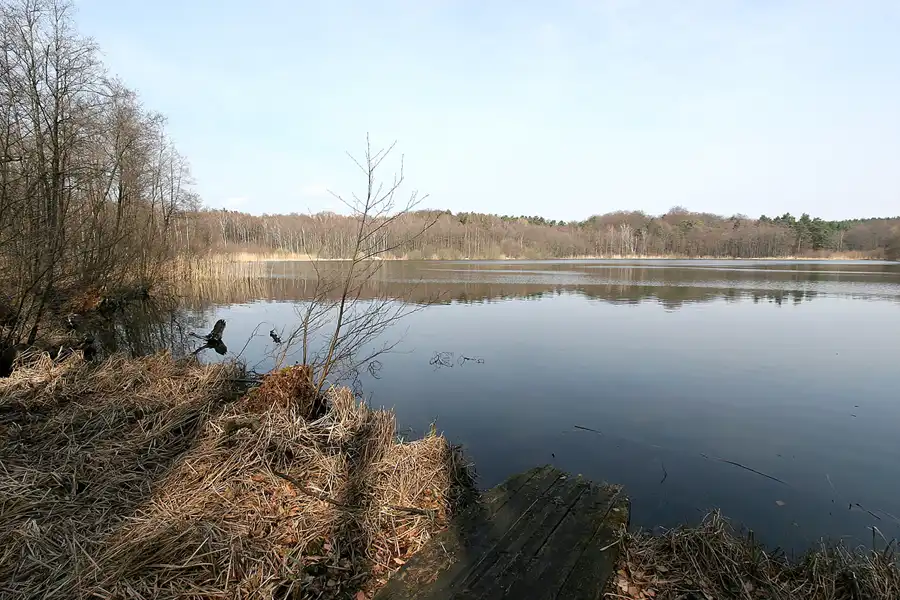 047 | 2010 | Bogensee | © carsten riede fotografie