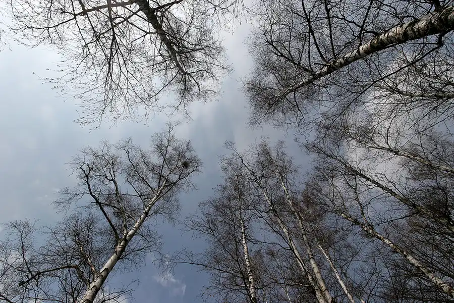 050 | 2010 | Bogensee | © carsten riede fotografie