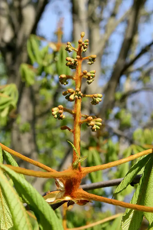 014 | 2010 | Berlin | Gärten der Welt im Erholungspark Marzahn | © carsten riede fotografie