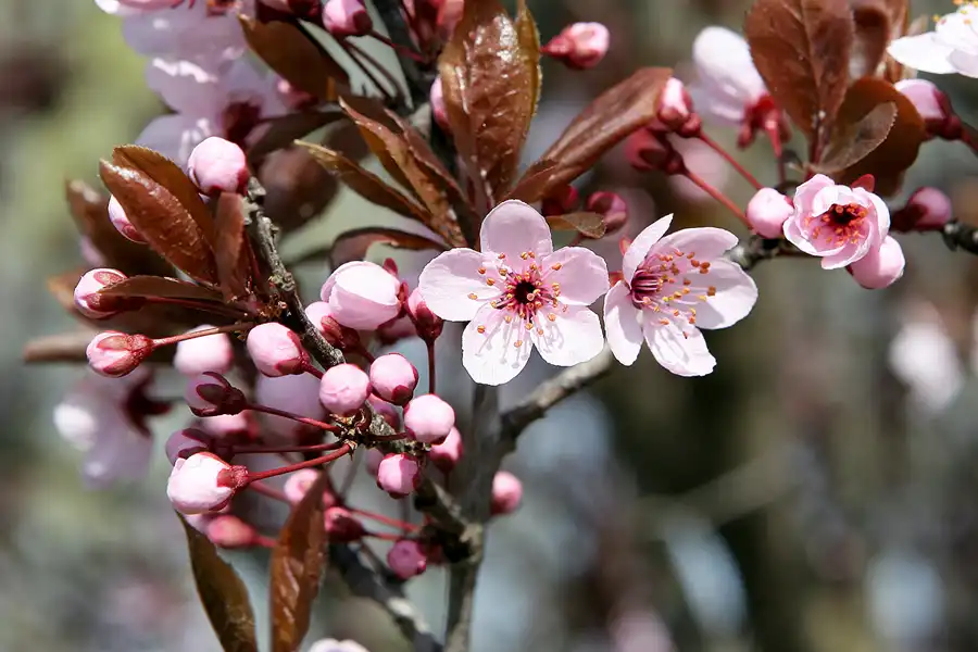 023 | 2010 | Berlin | Gärten der Welt im Erholungspark Marzahn | © carsten riede fotografie