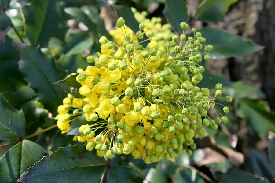 032 | 2010 | Berlin | Gärten der Welt im Erholungspark Marzahn | © carsten riede fotografie