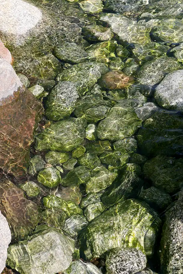 033 | 2010 | Berlin | Gärten der Welt im Erholungspark Marzahn | © carsten riede fotografie