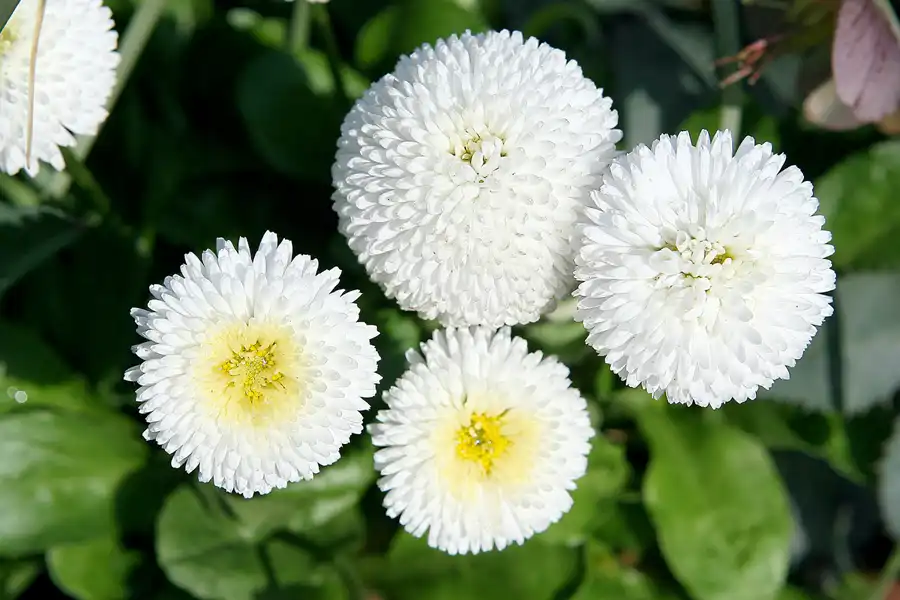 039 | 2010 | Berlin | Gärten der Welt im Erholungspark Marzahn | © carsten riede fotografie