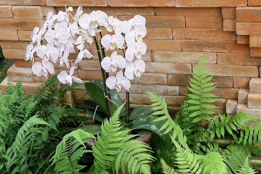 043 | 2010 | Berlin | Gärten der Welt im Erholungspark Marzahn | © carsten riede fotografie