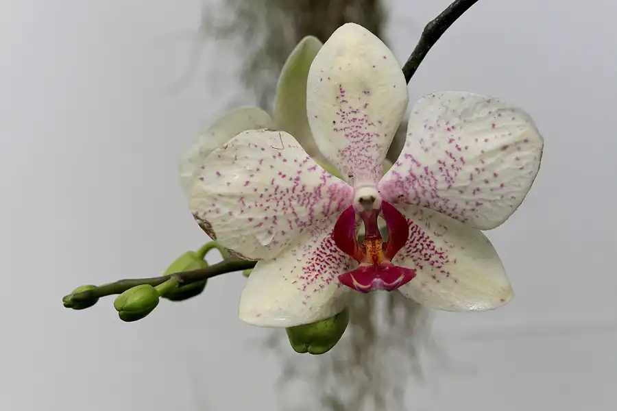 047 | 2010 | Berlin | Gärten der Welt im Erholungspark Marzahn | © carsten riede fotografie