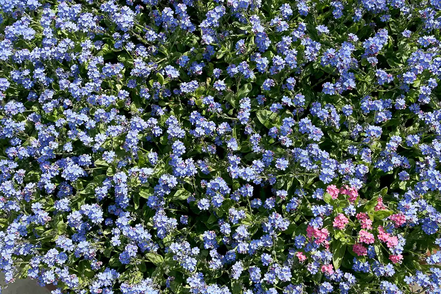 050 | 2010 | Berlin | Gärten der Welt im Erholungspark Marzahn | © carsten riede fotografie