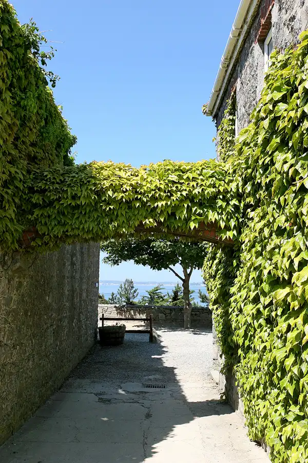 002 | 2010 | Herm | © carsten riede fotografie