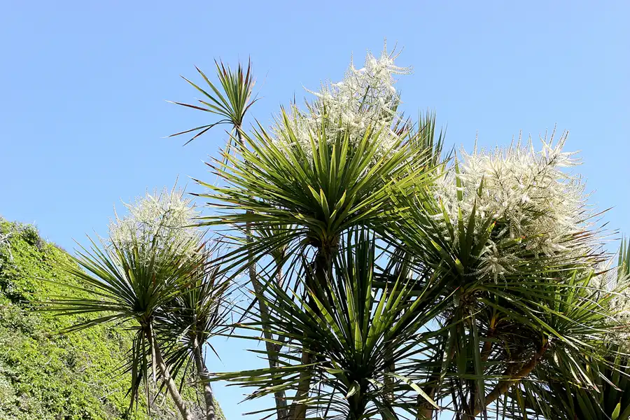 009 | 2010 | Herm | © carsten riede fotografie