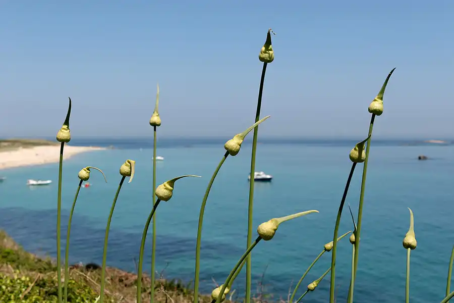 012 | 2010 | Herm | © carsten riede fotografie
