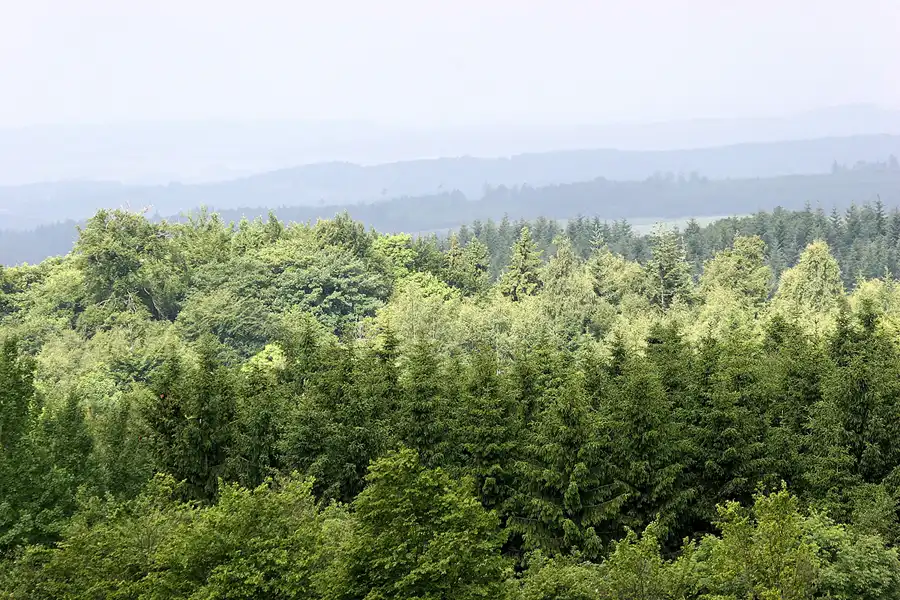 040 | 2010 | Eifel | © carsten riede fotografie