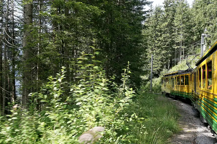 087 | 2010 | Kleine Scheidegg – Lauterbrunnen | Zahnradbahnfahrt | © carsten riede fotografie