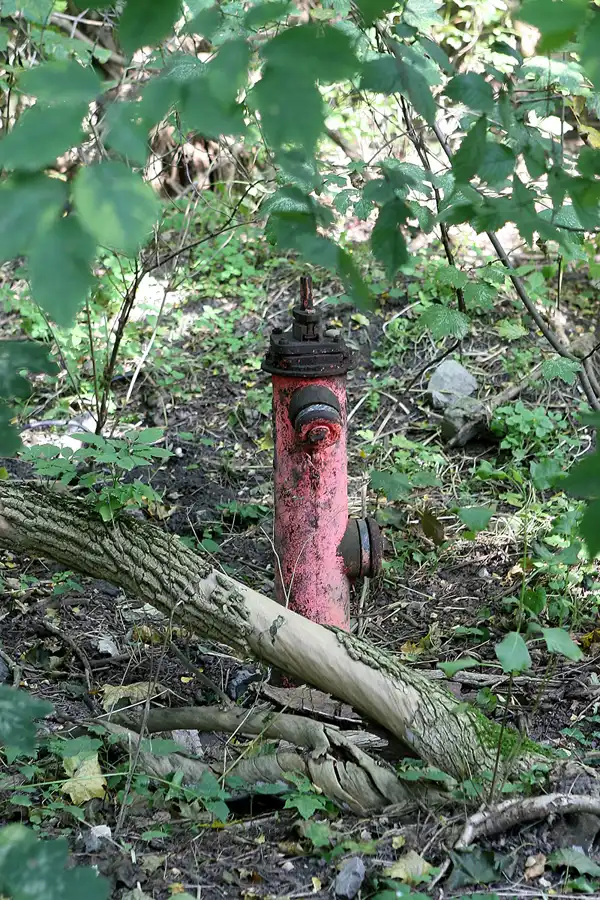 008 | 2010 | Rüdersdorf | Museumspark | © carsten riede fotografie