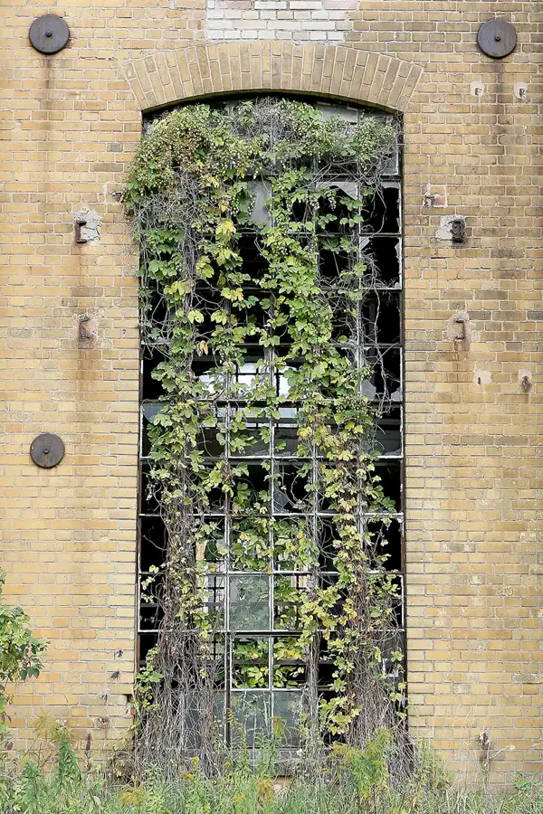 034 | 2010 | Borna-Witznitz | Brikettfabrik | © carsten riede fotografie