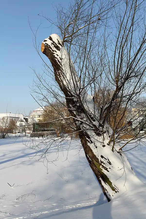 003 | 2010 | Berlin | Obersee-Orankesee-Park | © carsten riede fotografie