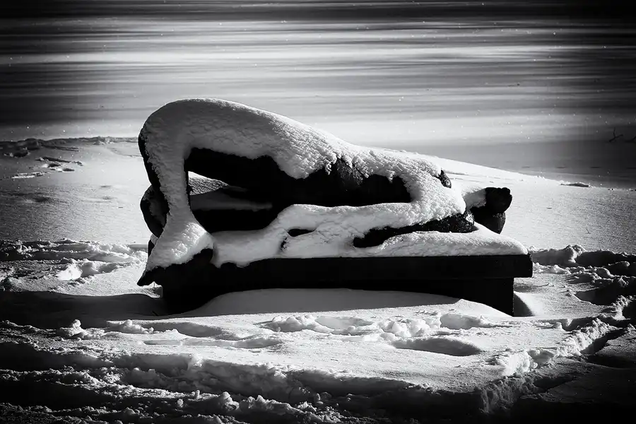 015 | 2010 | Berlin | Obersee-Orankesee-Park | © carsten riede fotografie