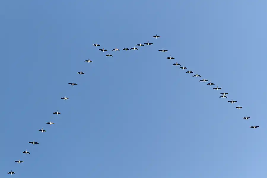036 | 2010 | Berlin | Obersee-Orankesee-Park | © carsten riede fotografie