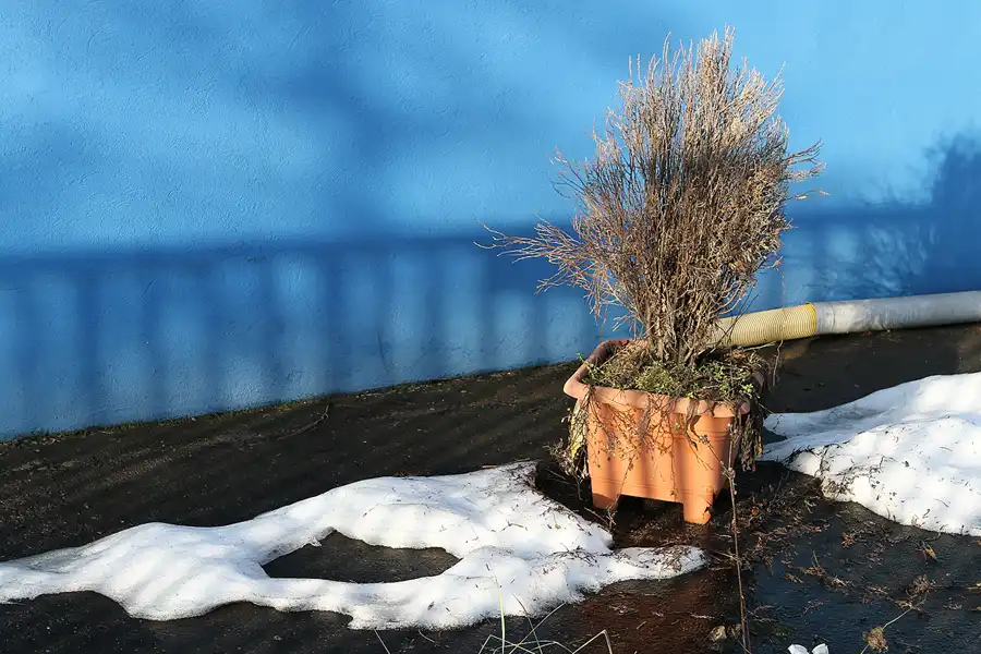 008 | 2011 | Berlin | Am Wasserwerk | © carsten riede fotografie