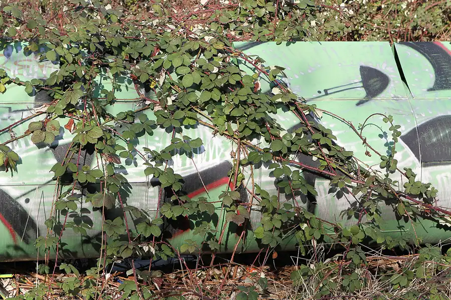 026 | 2011 | Berlin | Rhinstrasse | © carsten riede fotografie