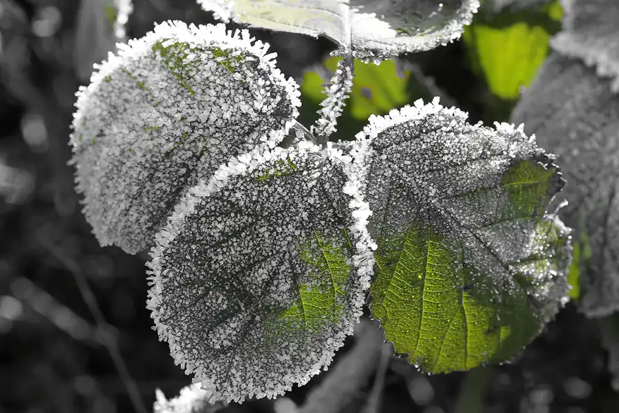 040 | 2011 | Berlin | Wassergrundstrasse | © carsten riede fotografie