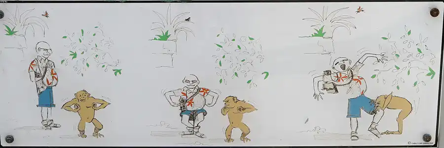 017 | 2011 | Gibraltar | © carsten riede fotografie