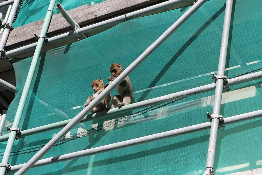 039 | 2011 | Gibraltar | © carsten riede fotografie