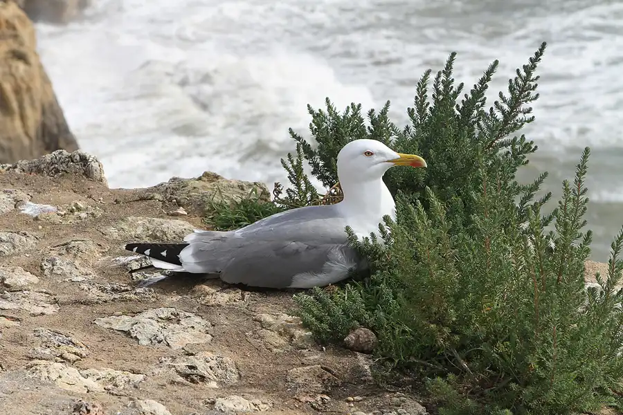 097 | 2011 | Praia Do Carvoeiro | © carsten riede fotografie