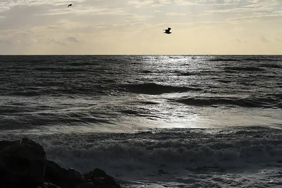 115 | 2011 | Quarteira | © carsten riede fotografie