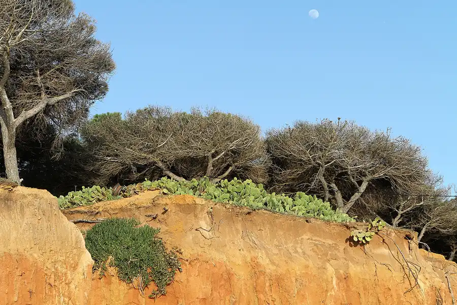129 | 2011 | Quarteira | Vale De Lobo | © carsten riede fotografie