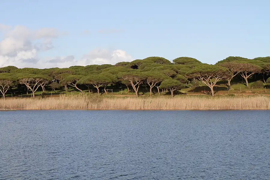 131 | 2011 | Quarteira | Vale De Lobo | © carsten riede fotografie