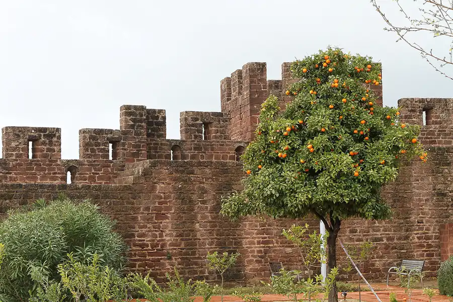 144 | 2011 | Silves | © carsten riede fotografie