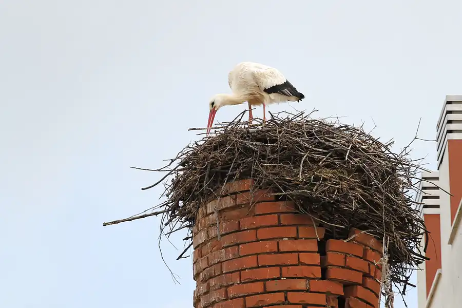 153 | 2011 | Silves | © carsten riede fotografie