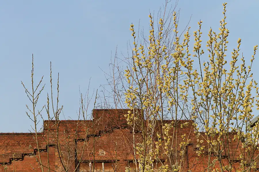 041 | 2011 | Berlin | Alter Schlachthof | © carsten riede fotografie