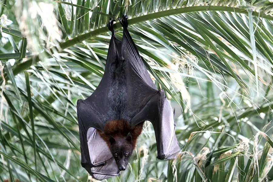 030 | 2011 | Berlin | Tierpark Friedrichsfelde | © carsten riede fotografie