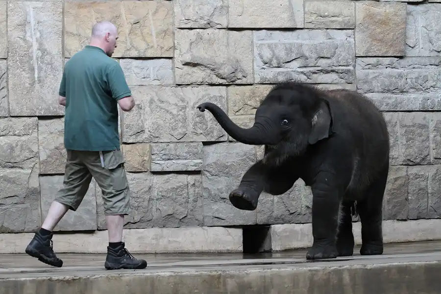 050 | 2011 | Berlin | Tierpark Friedrichsfelde | © carsten riede fotografie