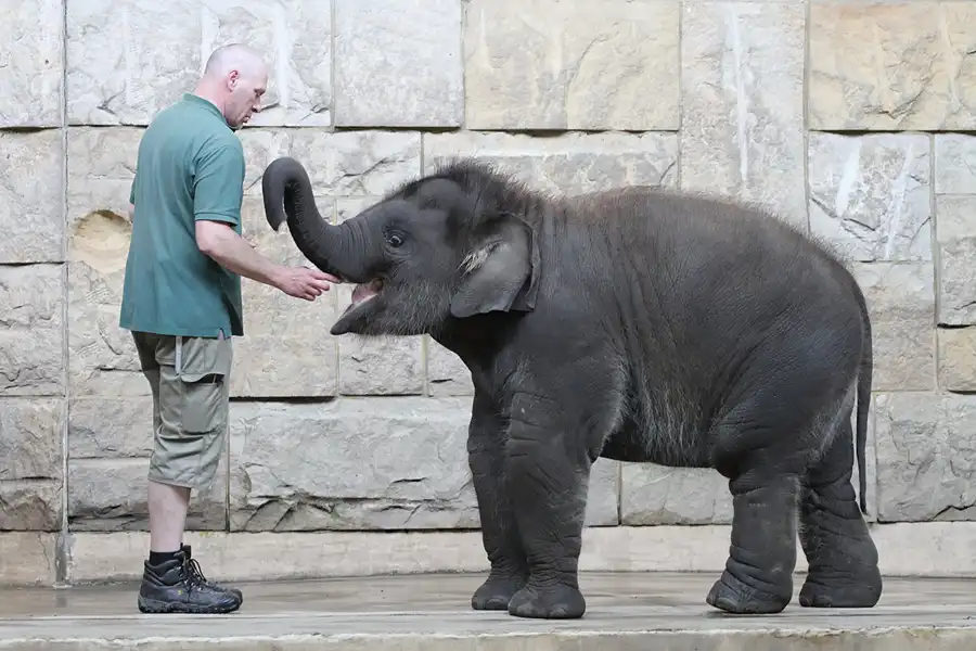 051 | 2011 | Berlin | Tierpark Friedrichsfelde | © carsten riede fotografie