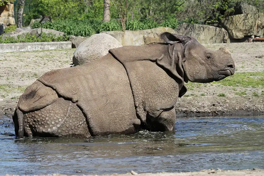 052 | 2011 | Berlin | Tierpark Friedrichsfelde | © carsten riede fotografie